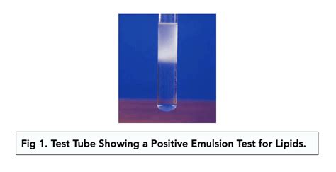 emulsion test for lipids|ᐉ Test for Carbohydrates Lipids & Proteins: Biuret & Emulsion.
